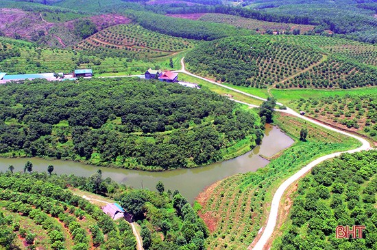 Hà Tĩnh khởi động cho mục tiêu tăng trưởng nông nghiệp 2,5%