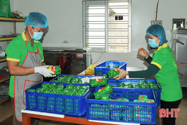 Các địa phương Hà Tĩnh đăng ký gần 200 ý tưởng sản phẩm OCOP năm 2021