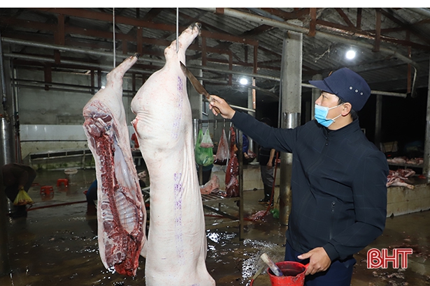 Tuân thủ quy trình giết mổ, cung ứng nguồn thực phẩm chất lượng dịp cuối năm ở Hà Tĩnh