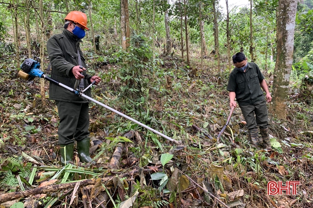 Giúp công nhân lâm nghiệp Hà Tĩnh yên tâm giữ rừng