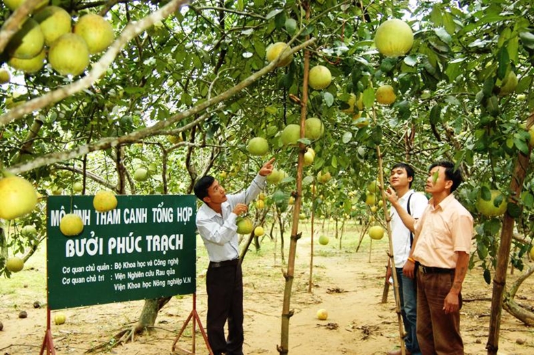 Hà Tĩnh: Đẩy mạnh chuyển đổi số trong lĩnh vực nông nghiệp