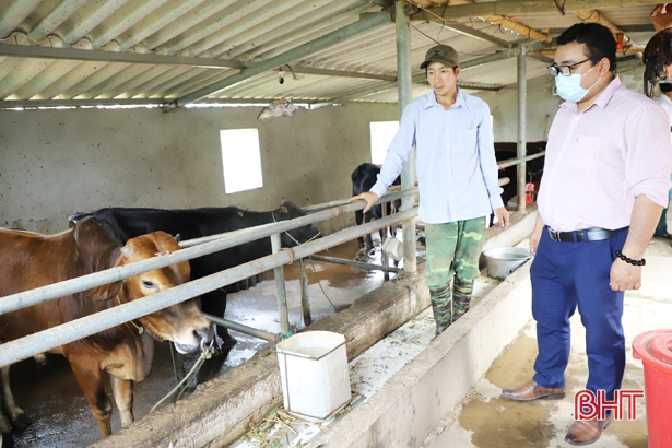 Vốn chính sách “tiếp sức” để nông dân Hà Tĩnh phát triển kinh tế