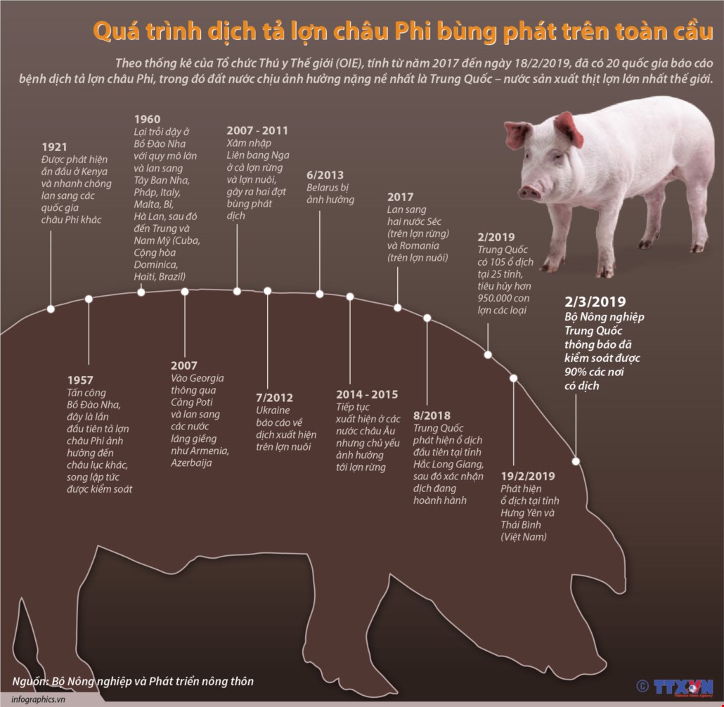 Nguồn gốc dịch tả lợn Châu Phi | Cổng TTĐT tỉnh Hà Tĩnh