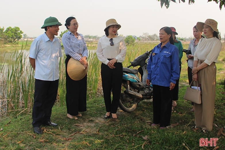Quỹ Phát triển phụ nữ Hà Tĩnh góp phần giúp hội viên thoát nghèo, phát triển kinh tế