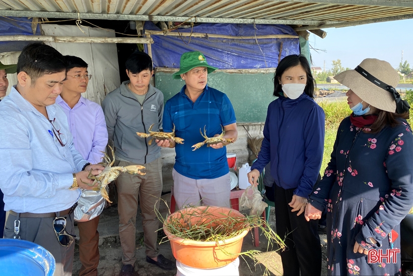 Chủ tịch UBND tỉnh Hà Tĩnh chỉ đạo đẩy mạnh công tác khuyến nông