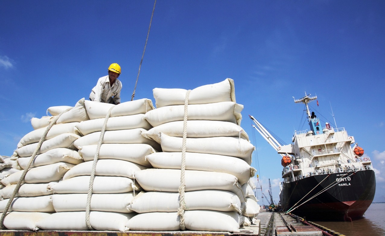 Ấn Độ cấm xuất khẩu gạo: Thị trường lương thực thế giới tiếp tục đón cú sốc