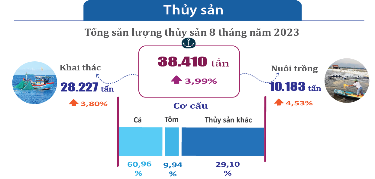 Tình hình kinh tế - xã hội tỉnh Hà Tĩnh tháng 8 và 8 tháng năm 2023