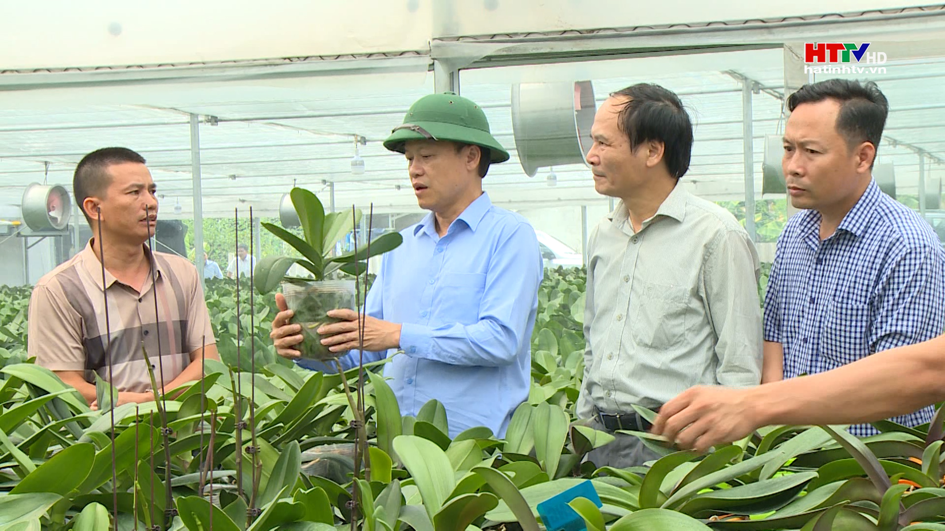 Phó Chủ tịch Thường trực Nguyễn Hồng Lĩnh kiểm tra mô hình nông nghiệp công nghệ cao