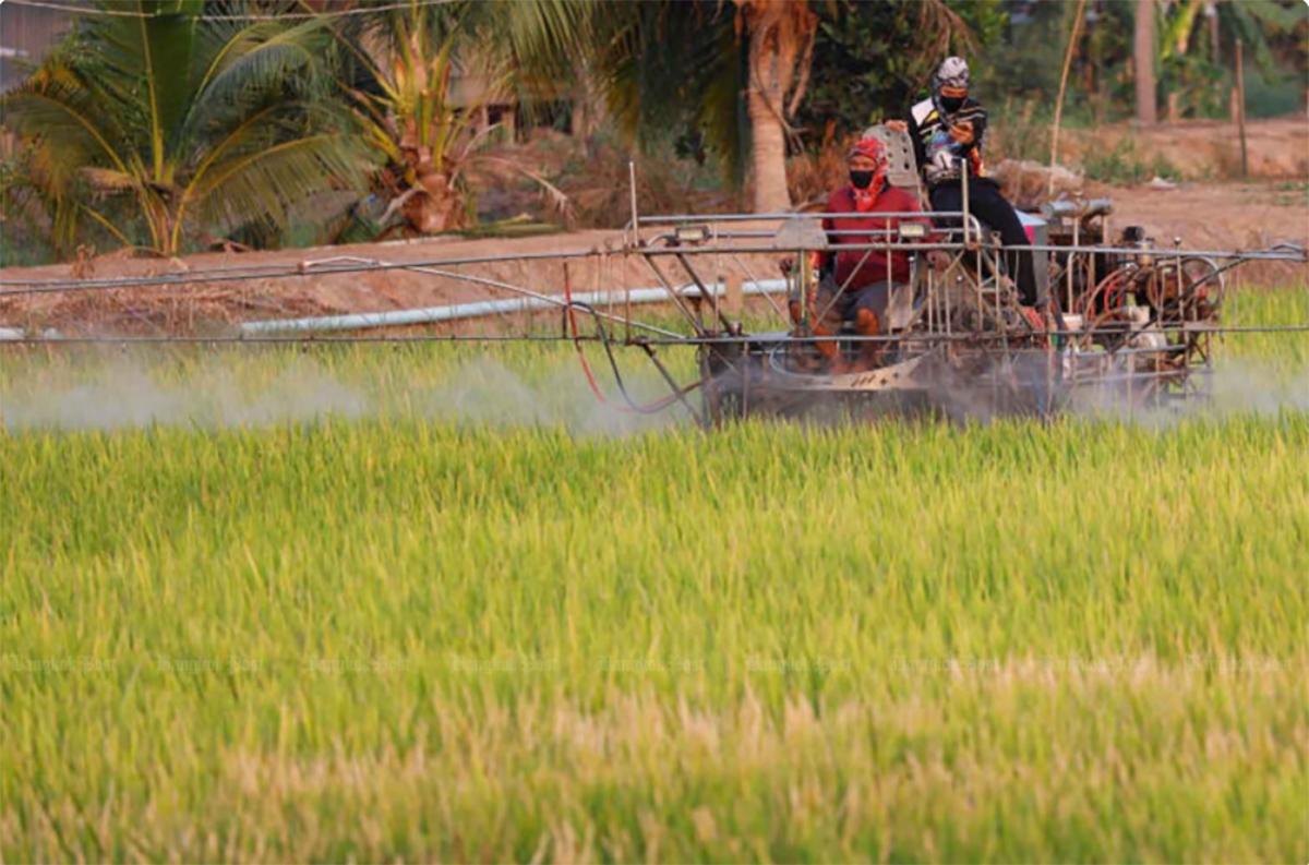Thái Lan chuyển đổi phương thức canh tác lúa ứng phó biến đổi khí hậu