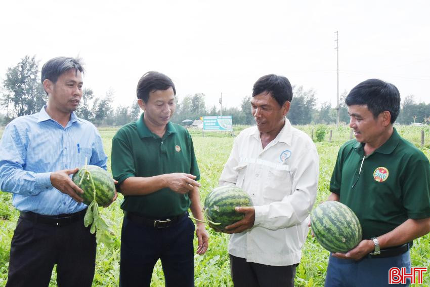 Tiêu chí thu nhập - điểm nhấn trong xây dựng nông thôn mới ở Lộc Hà