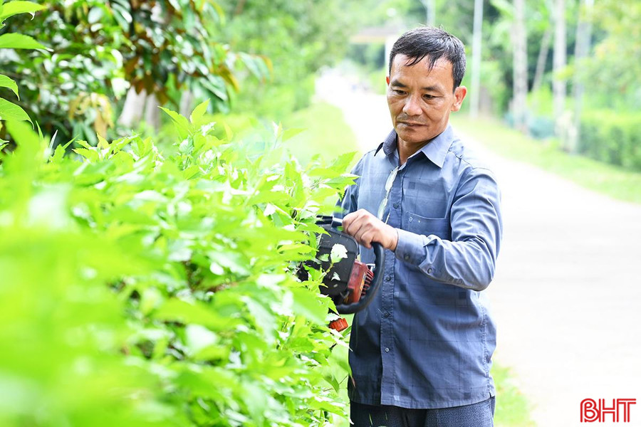 Học Bác, thôn Bình Thành đoàn kết xây dựng khu dân cư kiểu mẫu