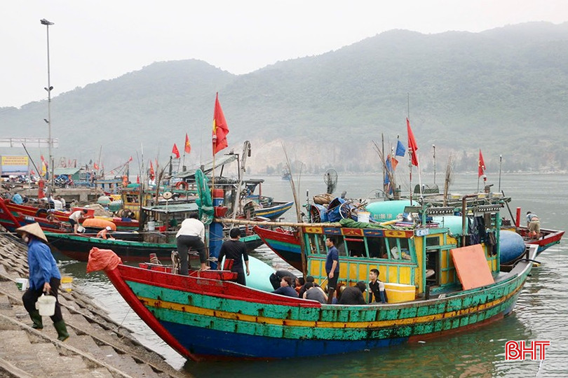 Ngư dân Hà Tĩnh tận dụng “thời điểm vàng” ra khơi, hải sản đầy khoang