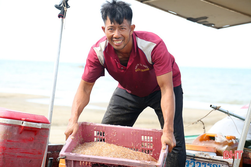 Ngư dân Hà Tĩnh trúng đậm ruốc biển, thu nhập tiền triệu mỗi ngày