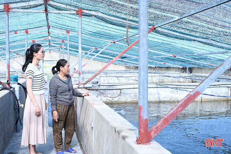 Khơi thông dòng vốn hỗ trợ hợp tác xã Hà Tĩnh phát triển