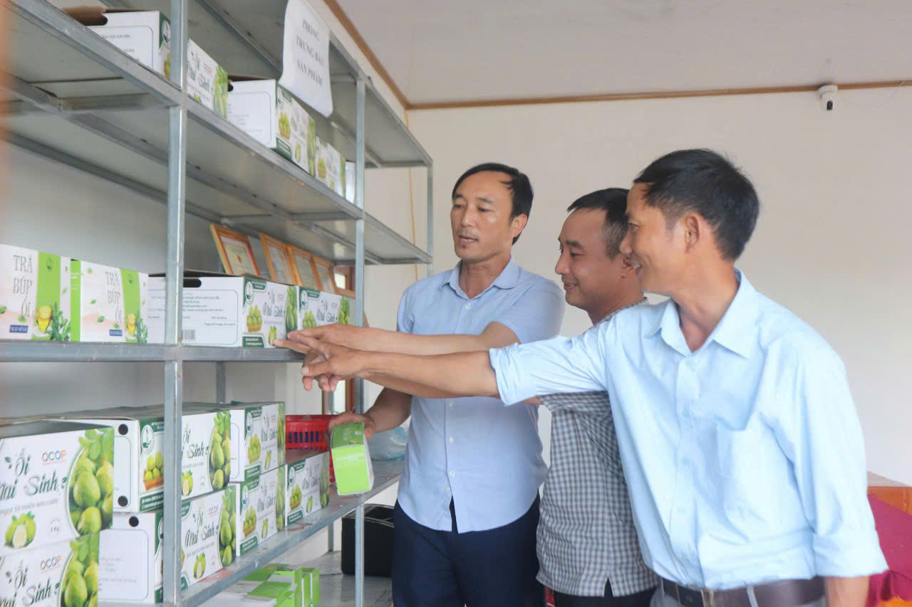 Sơn Tiến đẩy mạnh thi đua lao động sản xuất chào mừng Đại hội Đảng bộ tỉnh lần thứ XX