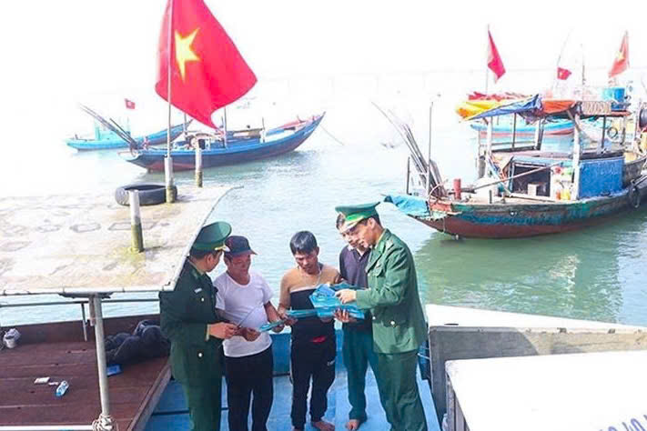 Hà Tĩnh siết chặt thực thi Đạo luật Bảo vệ động vật có vú biển