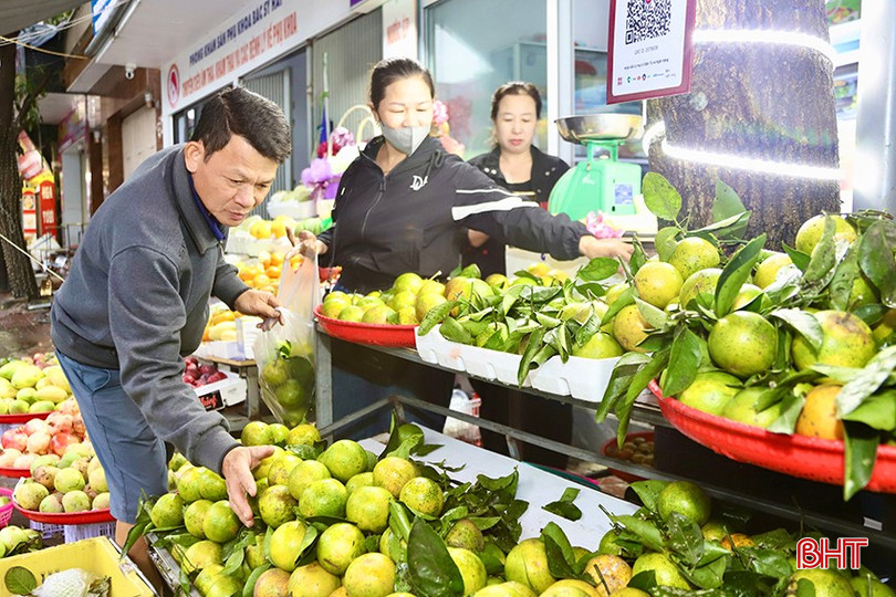 Cam chanh thu hoạch sớm, giá cao