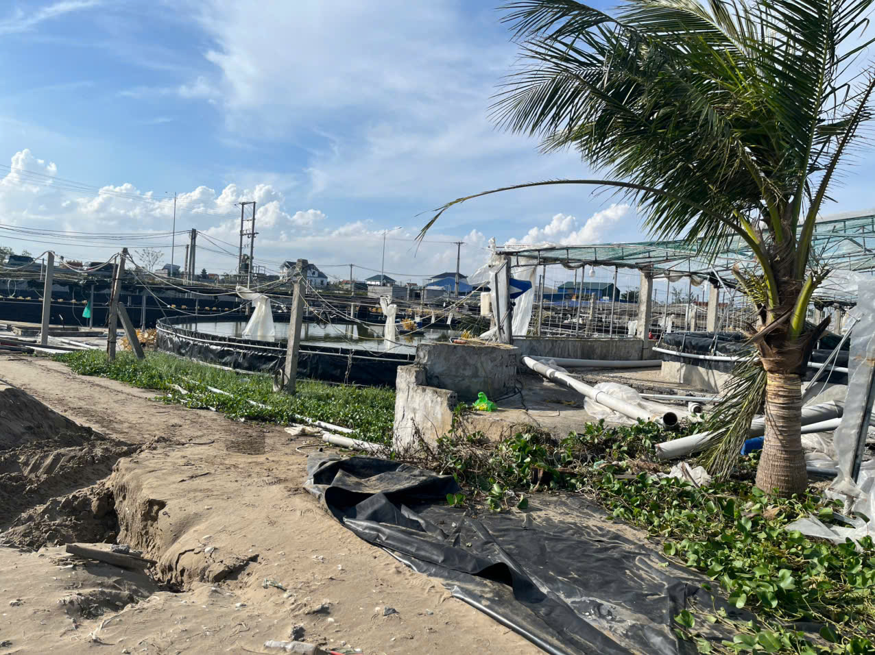 Hải Châu (Nghệ An): Nghề nuôi trồng thủy sản thiệt hại nặng sau bão số 10 Bualoi