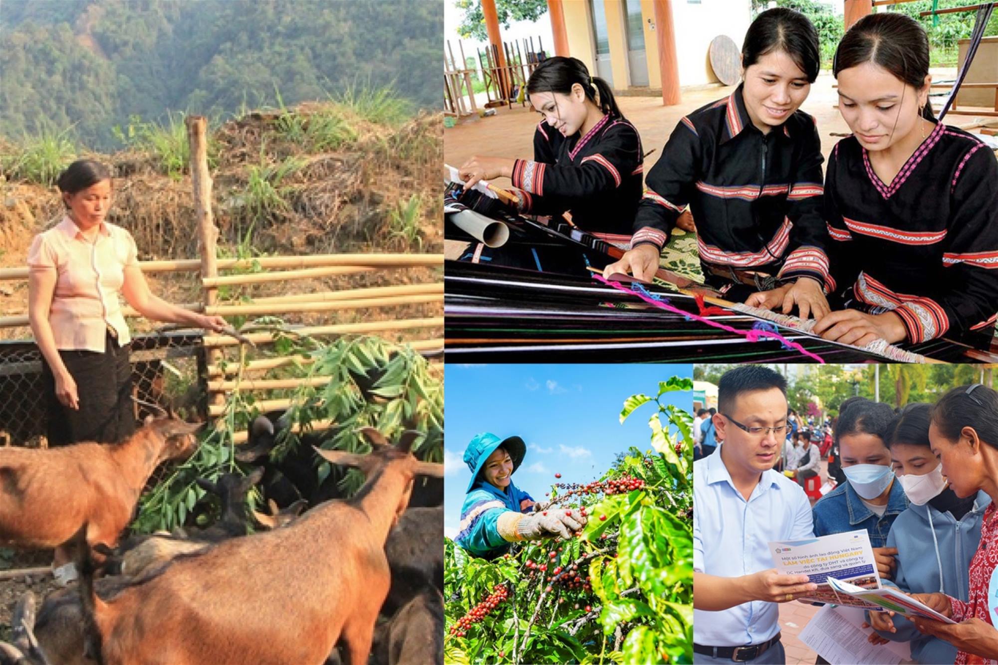 Hà Tĩnh sửa đổi, bổ sung chính sách bố trí dân cư vùng khó khăn và chính sách đất đai cho đồng bào dân tộc thiểu số