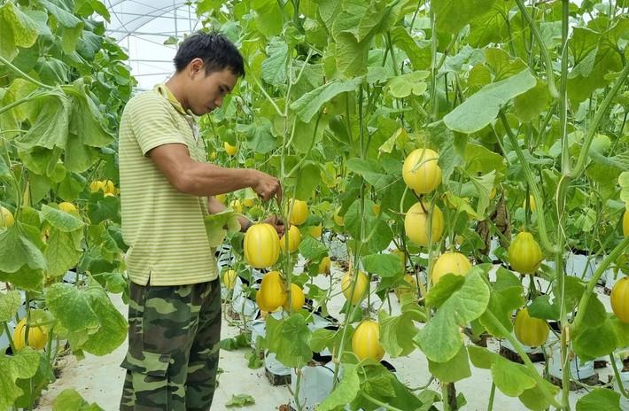 Hà Tĩnh điều chỉnh chính sách hỗ trợ phát triển kinh tế tập thể, hợp tác xã đến năm 2025