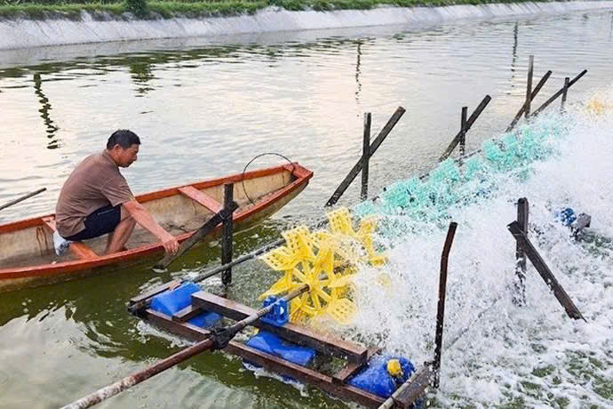 Kỳ Khang phát huy thế mạnh kinh tế biển, nâng thu nhập người dân