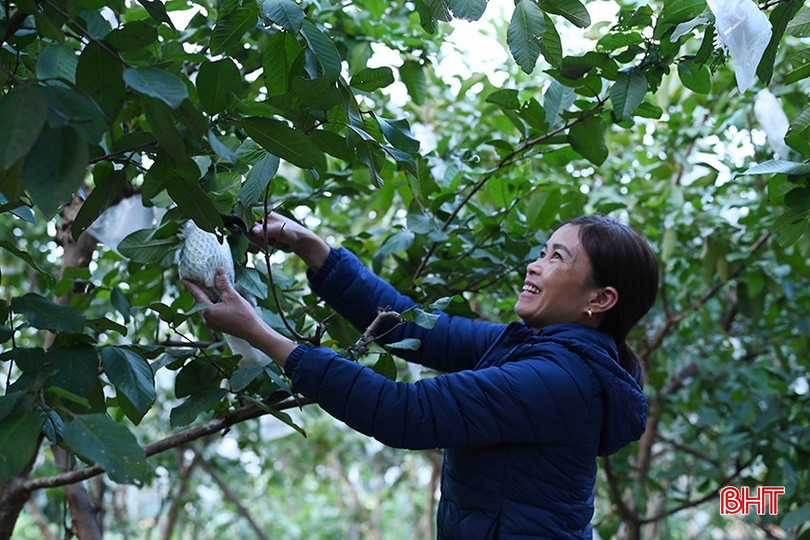 Nhiều mô hình kinh tế mới tạo sức bật phát triển ở Thạch Xuân